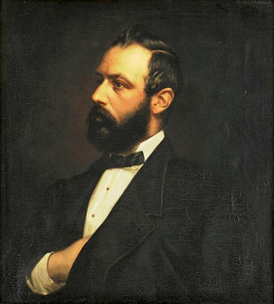 Porträt von Karl XV von Bertha Valerius